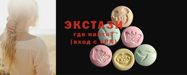 индика Кулебаки