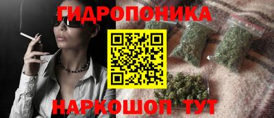 apvp Партизанск