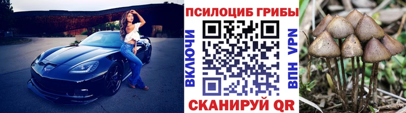 Галлюциногенные грибы прущие грибы  Курганинск 