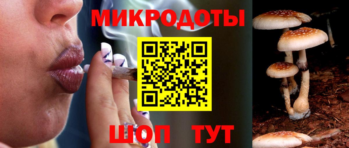 Псилоцибиновые грибы Psilocybe  Вход с VPN  Курганинск  хочу наркоту  Псилоцибиновые грибы Psilocybe 
