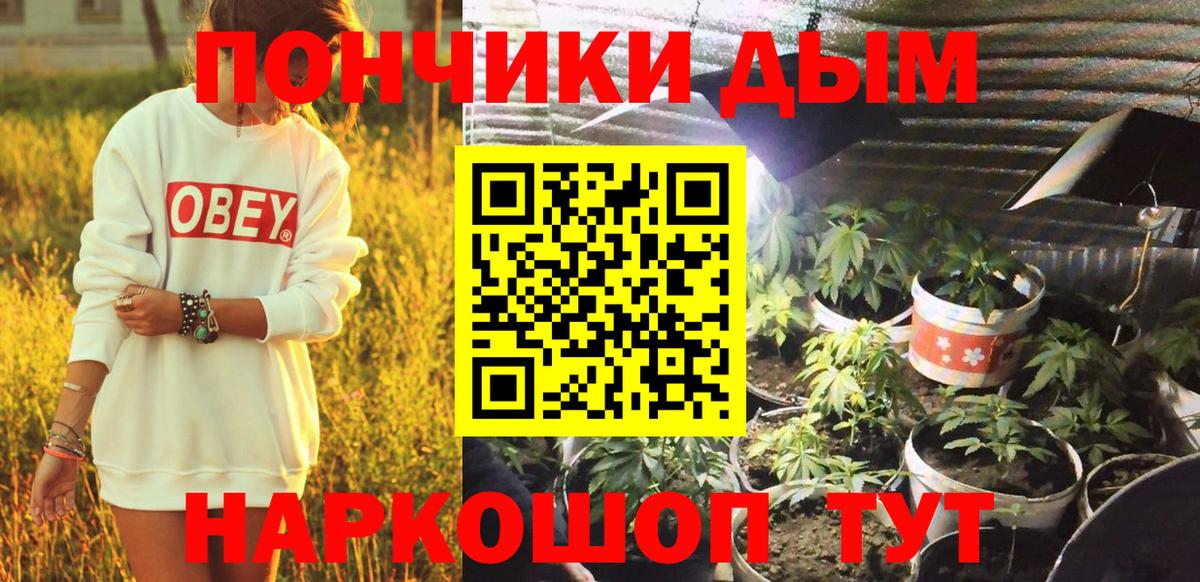 Бошки марихуана конопля  Курганинск  Бошки марихуана AK-47  Бошки марихуана индика 